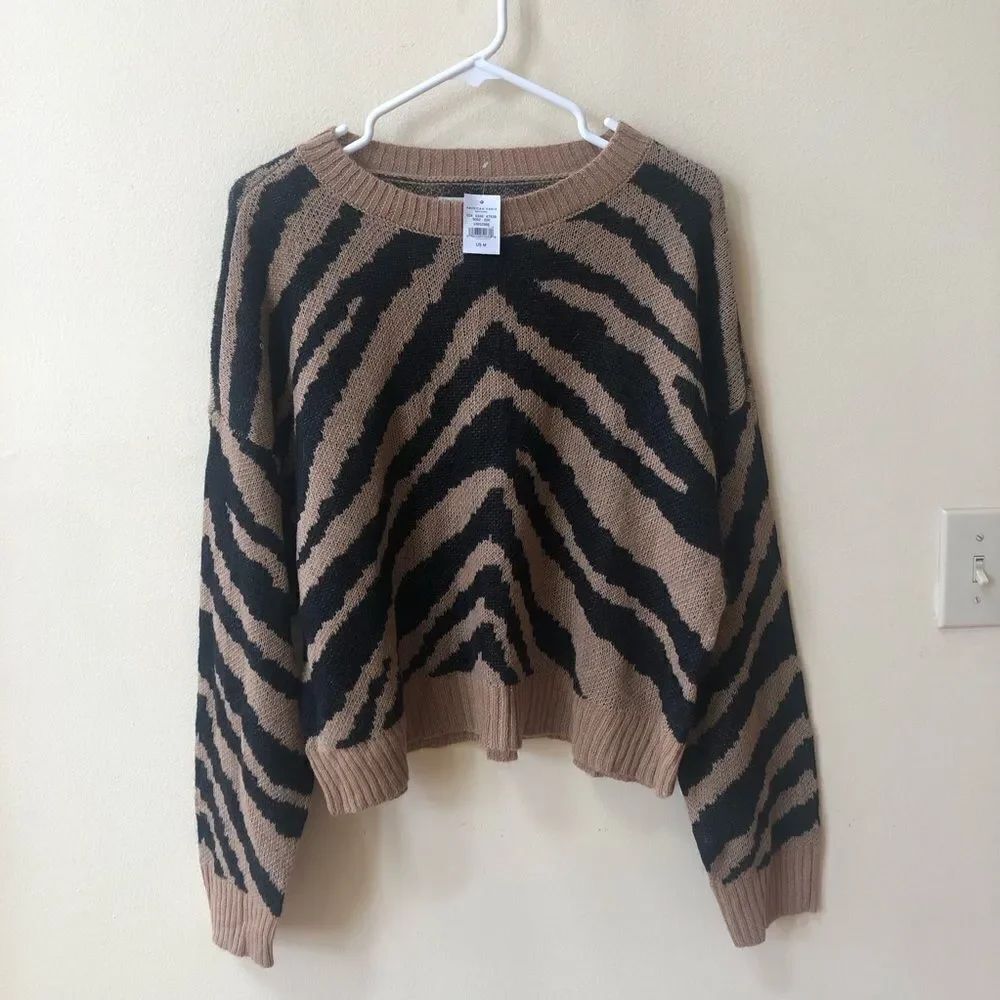 American Eagle Sweater